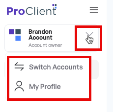 Dashboard – ProClient